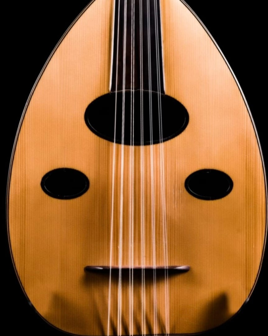 Demonstrate Techniques for Playing Oud 1